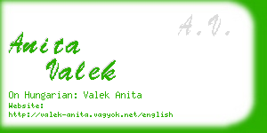 anita valek business card